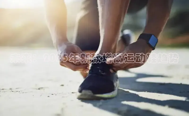 XCSport网页版入口