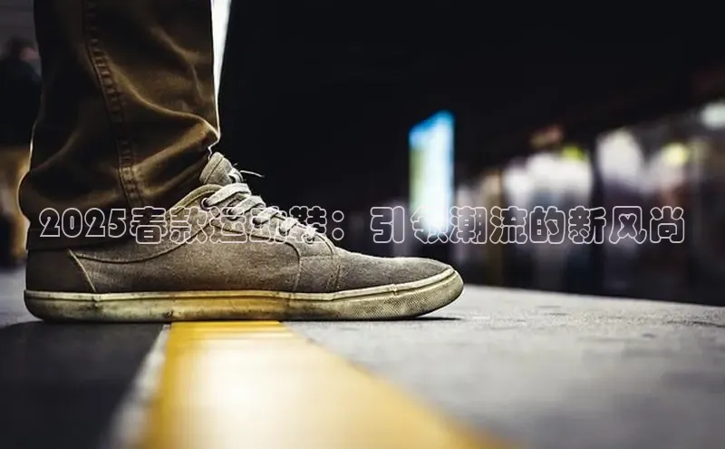 XC网页版入口